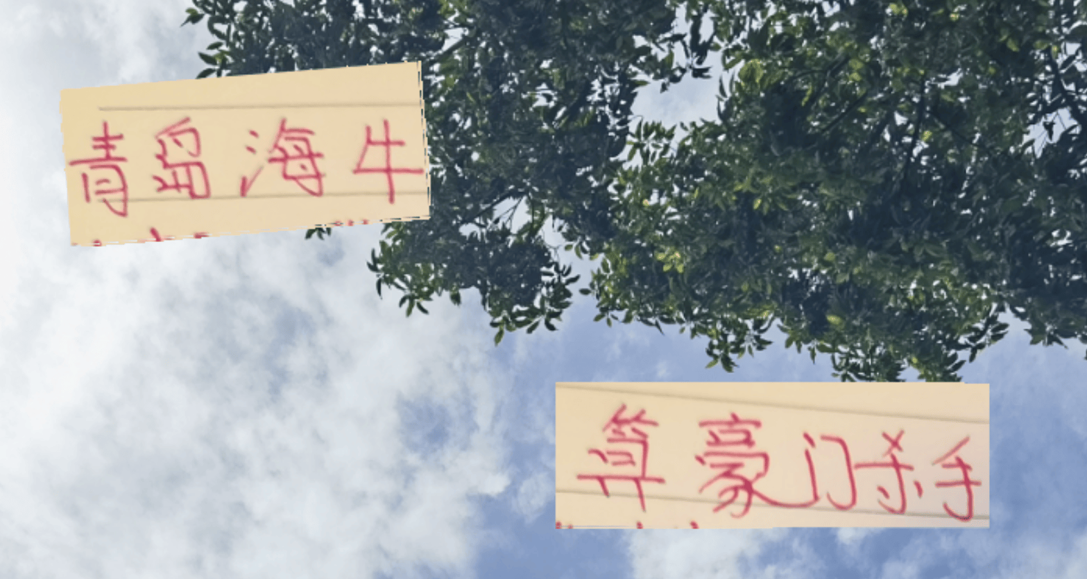 因此压力给, 云南队一样