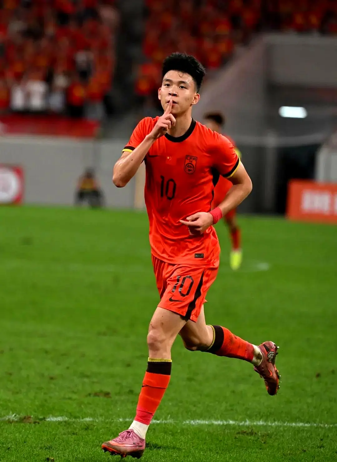 的拜合拉木 的拜合拉木