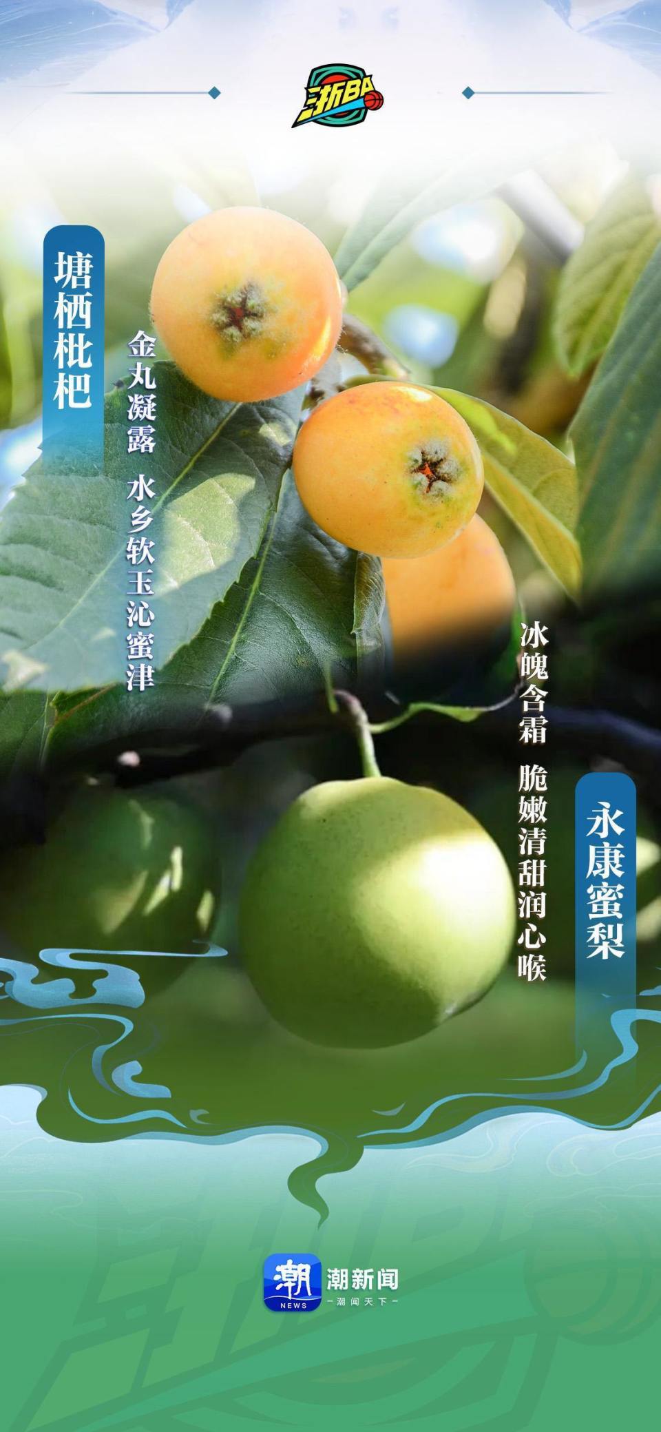 龚之晶, ya